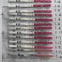 一直没有强阳就弱了为啥呀，这是证明没有排卵过吗，求解！