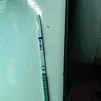 朋友们这是有了吗