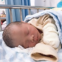 重新发一个帖子，哈哈哈，小猪佩奇和乔治傻傻分不清，咱是乔治小王子