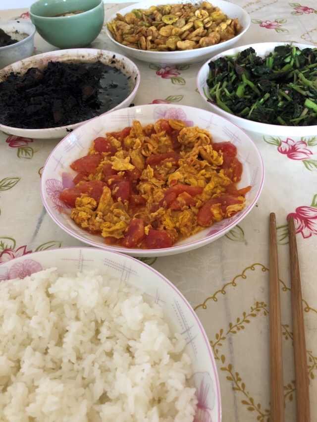 哈哈，小家伙学校种的辣椒结🌶️啦，愿所有小朋友茁壮成长