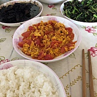 哈哈，小家伙学校种的辣椒结🌶️啦，愿所有小朋友茁壮成长