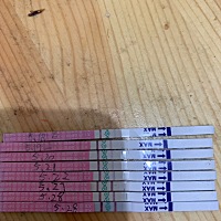 这是不是正在排卵