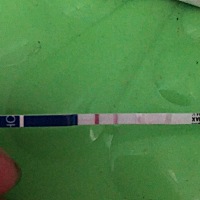 这是代表什么呢