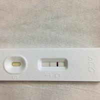 末月经1号  …我也分不清楚排卵期具体是多少号？ 大概应该在18左右   昨天下午测是白板   今天早上测的 ...