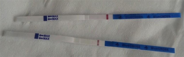 昨天测的是大白板，今天早上测的有一个浅浅的印子，不知道有没有希望，大家帮我看一下。