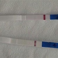 昨天测的是大白板，今天早上测的有一个浅浅的印子，不知道有没有希望，大家帮我看一下。