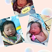 老大葛佳瑶老二葛佳婷老三？