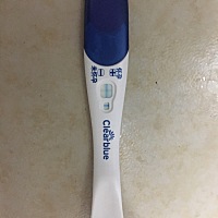 来还愿报喜啦。备孕第二月中了！本来想赶个猪宝宝的，没赶上 米奇也很开心啦。跟自己一个属相😄 备孕...