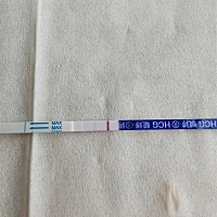 还有3天该来月经，备孕了快两年，检查都做了，没什么问题，还吃了几个月中药。之前出现了两次生化。今早...