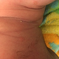 谁知道这长的是什么东西？