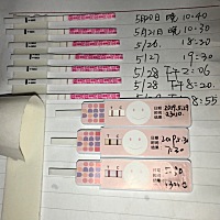 是不是马上就会排卵了？几时安排？ 姐妹们，请问zh是不是马上就会排卵了？几时安排？