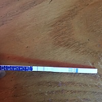 有没有同一天排卵的宝妈？今天不同房，明天还有可能中奖么？