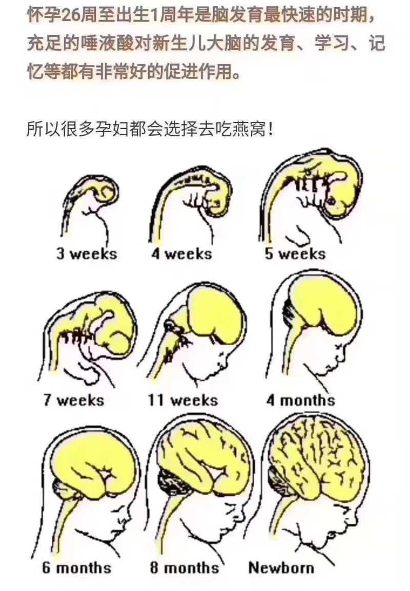 怀孕2个月，可以吃燕窝吗?
怀孕4个月，可以吃燕窝吗?
有人说燕窝最好孕晚期再吃?