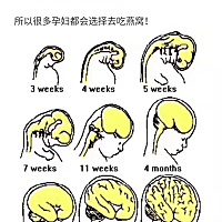 怀孕2个月，可以吃燕窝吗? 怀孕4个月，可以吃燕窝吗? 有人说燕窝最好孕晚期再吃? ✅孕期吃燕窝的正确时...