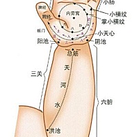 宝宝感冒三种推拿方法 1、清天河水：前臂正中，自掌后腕横纹中点至肘窝成一直线，蘸水呈单方向推100～20...