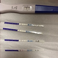 4w+3d 还没确定一直以为是内分泌失调咋的，可能是真的算错了排卵期中了吧，最近总是出现鼻子特别干，也...