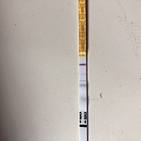 备孕成功，秀儿试纸测到大红双杠，希望是个女儿