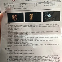 四维一次通过，有会看男孩女孩的吗，纯属好奇