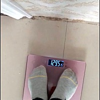 2⃣️天