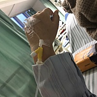 5月24日凌晨1点突发急性阑尾炎送往安医住院吊水保守治疗，28日上午9.40左右开始规律宫缩，下午3.25分剖...