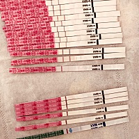 今天又是姨妈迟到第8天了  我知道不用去医院官宣了  早孕后两个是今早晨尿和非晨尿测的  白得晃眼😂  ...
