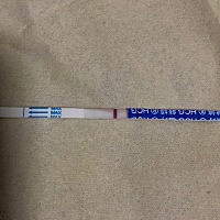 美妞们看看这是怀孕了吗？前面发了有的美妞说太早了，这是刚测的……不知道有没有啊……