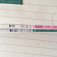 末次月经5.6排卵期5.19   姐妹们怎么样了？