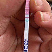 好浅好浅，也不知道是不是怀孕了，月经推迟了9天，腰酸，胃酸多。中午做了个梦，梦见自己带回两条小蛇，...