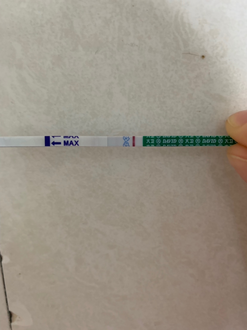 用可丽蓝电子验孕棒显示没怀孕，用大卫的有一点浅浅的