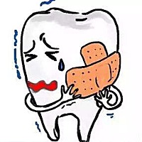 准备备孕期间拔牙了，并且拔了两颗智齿，打了麻药，看来现在是不能怀孕了，那就好好调理身体吧！有和我...