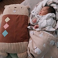 跟枕头一般大的大福子(👶🏻宝宝小名) 看着他的睡相母爱泛滥的不要不要的 虽然拿他没办法时很烦...