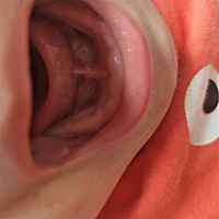 明天七个月了！不知道什么时瑶长牙！