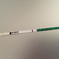 是否怀孕了 大家帮忙看看，是否怀孕了