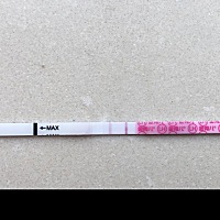 14号开始测的金秀儿排卵试纸，这连着四条测到的是昨天的，都显示弱阳，昨天白带拉丝了。昨晚爱爱了，可...