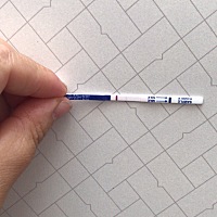 看看这是有了吗