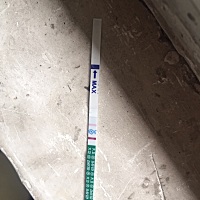 这是怀上了吗？