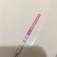 三个月了，排卵试纸终于强阳了，好激动，希望能好孕。