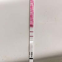 姨妈干净第二天，金秀儿开始慢慢强阳了，期待排卵日到来，不想错过了