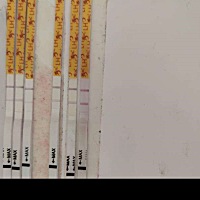 测了3天金秀儿的排卵试纸，我看说明好像没到强阳怎么就变弱了呢？麻烦懂的亲帮我看看！中间那条就是强呀？