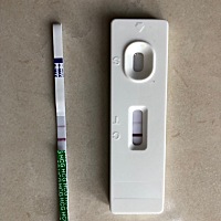 月经显示今天来，打算今天去婚检测了一下试纸显示一深一浅是不是怀孕了？