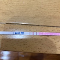 30号排的卵，什么时候能早早孕