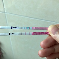 请问各位姐妹，排卵试纸达到最红了吗？可以安排功课吗？之前几个月一直用金秀儿，这个月买了大卫对比一下。