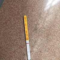 明天就是提示的姨妈日了，今天测的金.秀.儿.早早孕还是白板……
