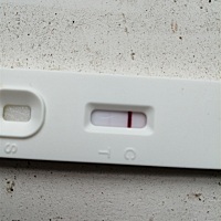 急急急，大神帮忙看看！是不是有了？？