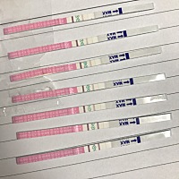 最后两个是今天下午和刚才测的 是排卵期吗？ 能不能安排同房啊😂😂😂