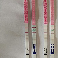 第一张排卵试纸是昨天的，第二张排卵试纸是今天的，还没有怀孕，想问一下这是还没有强阳就排了吗？？？...