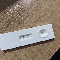 刚测的 明天来月经  这是有没有怀孕🤰  帮忙看一下