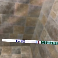 月经推迟8天用大卫测出一条杆是不是没怀上呀