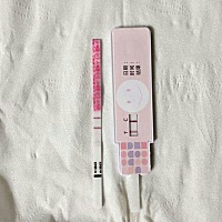 2月27号，3月24号，4月是20号来，这个月都没有来，验了金秀儿的早早孕只有一条杠，心情好难受，4月30，4...