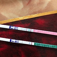 各位亲们帮我看下有没有 排卵第十五天 眼都自带双杠了